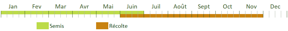 Calendrier de culture